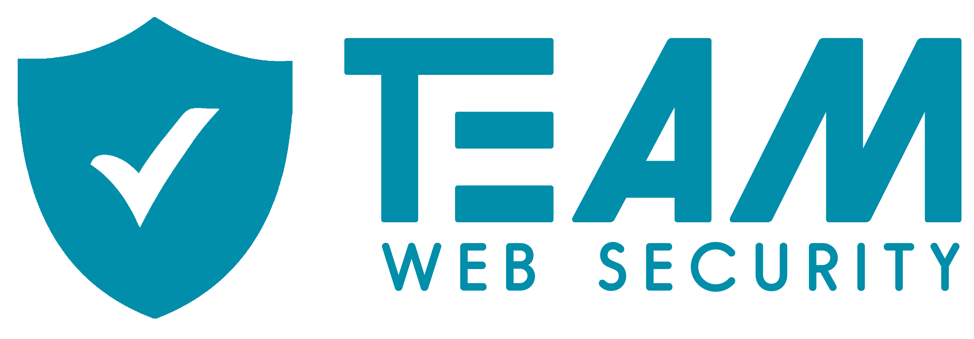 Team Web Security E.I.R.L